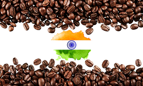 کامل ترین راهنمای انواع قهوه 29 قهوه هند