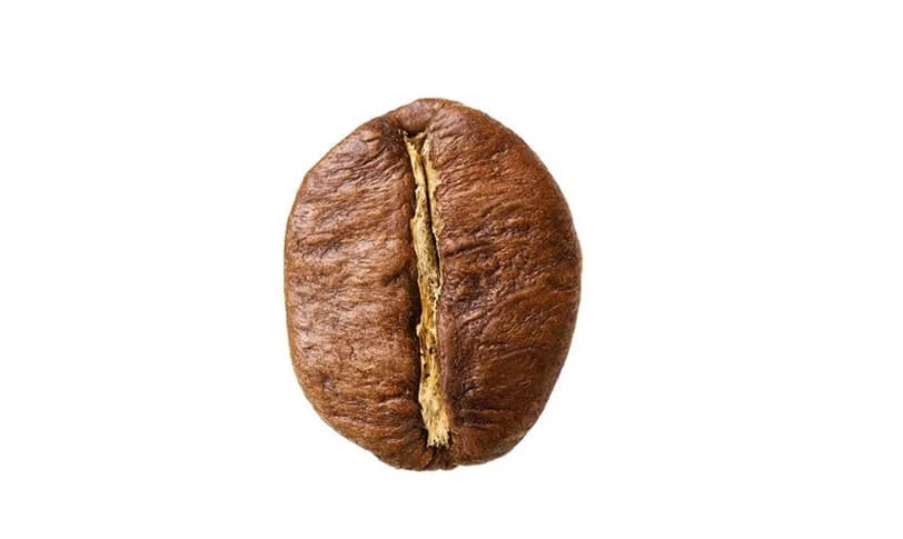 قهوه روبوستا