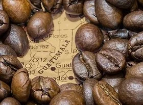کامل ترین راهنمای انواع قهوه 26 قهوه گواتمالا