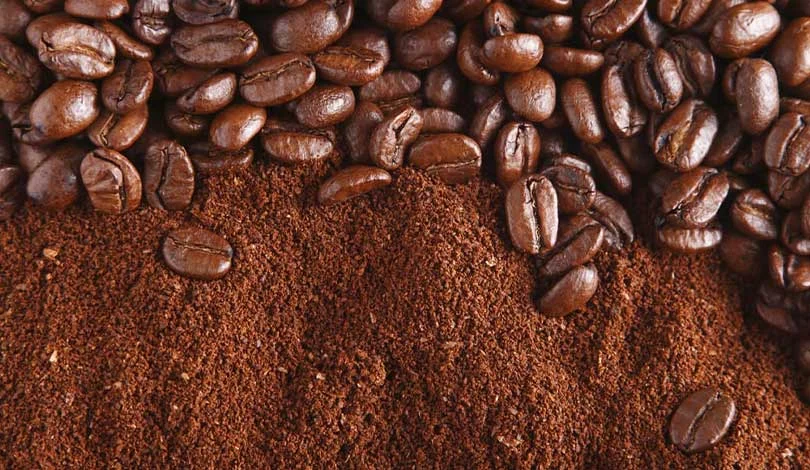 قهوه عربیکا 8 قهوه عربیکا